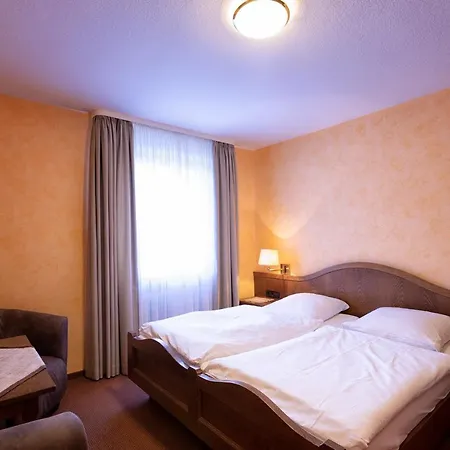 Hotel Hotel-restaurant Weinhaus Grebel 3*