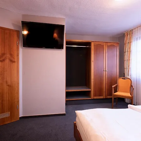 Hotel Hotel-restaurant Weinhaus Grebel 3*