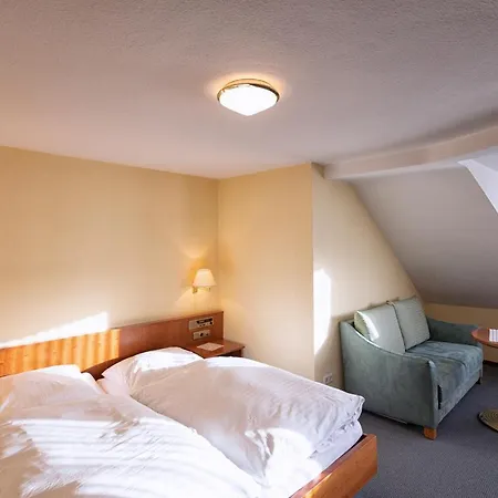 Hotel Hotel-restaurant Weinhaus Grebel 3*