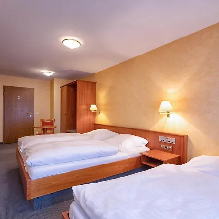 Hotel Hotel-restaurant Weinhaus Grebel 3*