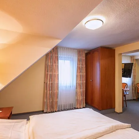 Hotel-restaurant Weinhaus Grebel 3* Koblenz (Rhineland-Palatinate)