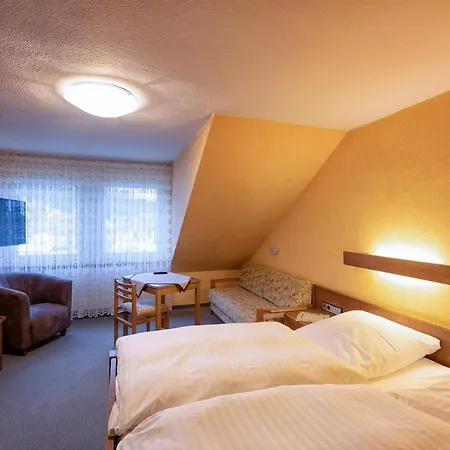 Hotel-restaurant Weinhaus Grebel Hotel 3*