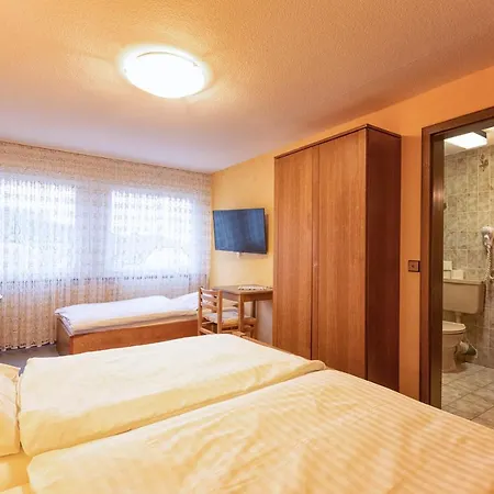 Hotel-restaurant Weinhaus Grebel Hotel