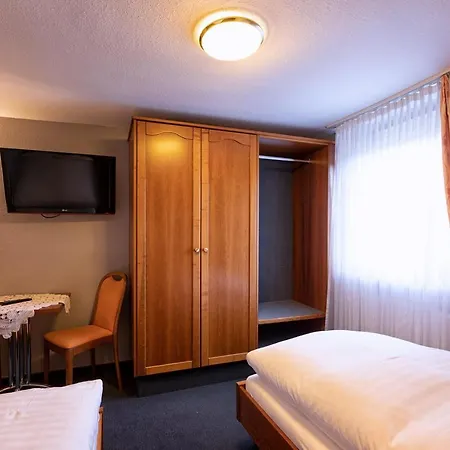Hotel Hotel-restaurant Weinhaus Grebel 3*