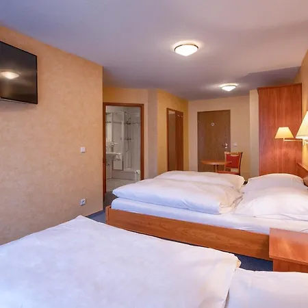 Hotel Hotel-restaurant Weinhaus Grebel Koblenz (Rhineland-Palatinate)