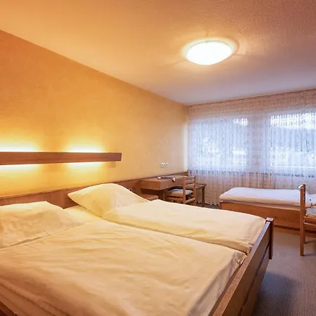 Hotel Hotel-restaurant Weinhaus Grebel 3*