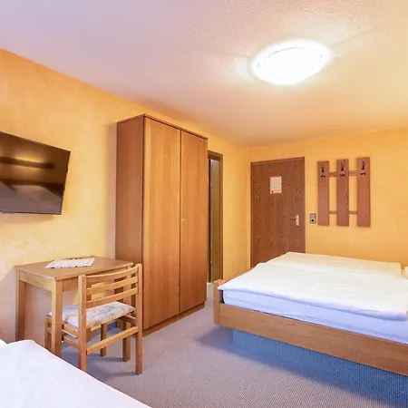 Hotel-restaurant Weinhaus Grebel Hotel 3*