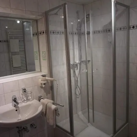 Hotel Hotel-restaurant Weinhaus Grebel 3*