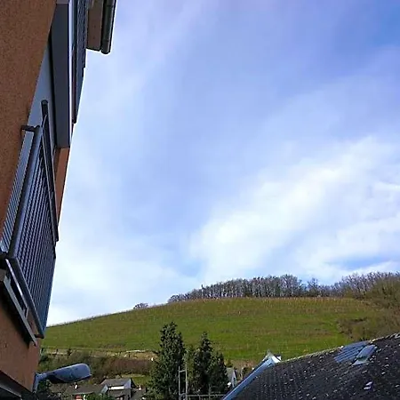 호텔 Hotel-restaurant Weinhaus Grebel 코블렌츠