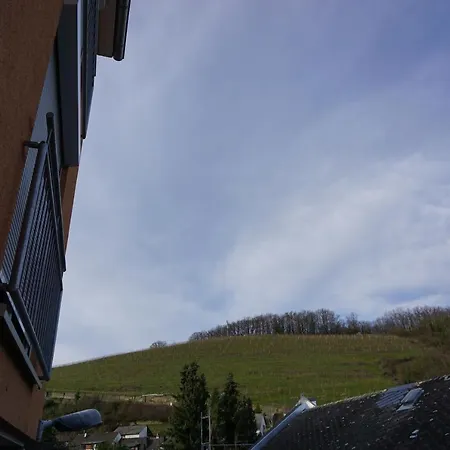 Hotel-restaurant Weinhaus Grebel Hotel