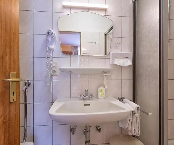 Hotel-restaurant Weinhaus Grebel 3* Кобленц