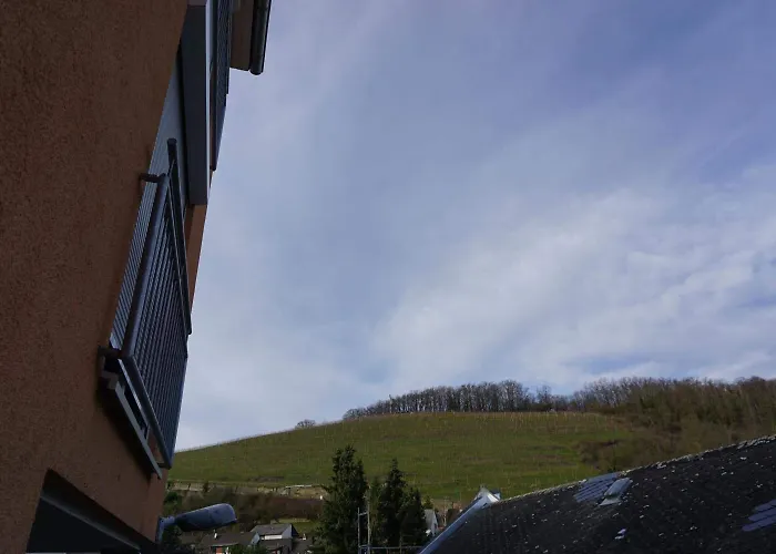 Hotel-restaurant Weinhaus Grebel Отель Кобленц