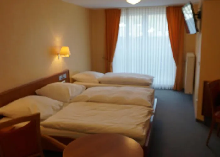 Hotel-restaurant Weinhaus Grebel Hotel Koblenz (Rhineland-Palatinate)