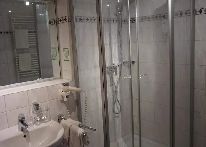 Отель Hotel-restaurant Weinhaus Grebel 3*